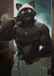 anthro clothing hat headgear headwear male muscular muscular_male solo steam towel towel_around_waist towel_only yellow_eyes curtis_wuedti netflix the_house_(netflix) elias_(the_house) domestic_cat felid feline felis mammal hi_res