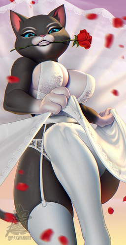 4_fingers anthro big_breasts biped black_body black_eyes black_fur black_tail blue_eyes blue_sclera breasts bridal_lingerie clothed clothed_anthro clothed_female clothing clothing_lift countershade_fur countershade_torso countershading curvy_figure dress dress_lift eyelashes female fingers flower flower_in_mouth front_view fur grin half-closed_eyes leggings legwear lingerie lingerie_panties looking_at_viewer looking_down low-angle_view narrowed_eyes panties petals plant raised_leg rose_(flower) rose_in_mouth seductive simple_background skimpy smile solo standing tail teeth thick_thighs thigh_highs underwear wedding_clothing white_clothing white_lingerie pakwan008 dreamworks puss_in_boots_(franchise) kitty_softpaws domestic_cat felid feline felis mammal tuxedo_cat 2026 digital_drawing_(artwork) digital_media_(artwork) watermark