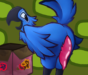 anthro blue_body box container fake_penis feathers genitals male male/male penis prosthetic simple_background solo sirunfurr blue_sky_studios rio_(series) blu_(rio) avian bird macaw neotropical_parrot parrot true_parrot absurd_res hi_res