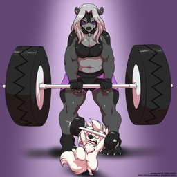 anthro bottomwear clothing duo exercise female fur grey_body grey_fur grey_hair hair male multicolored_body multicolored_fur navel open_mouth purple_eyes purple_sclera shorts teeth topwear two_tone_body two_tone_fur weightlifting weights white_body white_fur white_hair workout yellow_eyes deonwolf deon_(deonwolf) morgana_breedlove bear canid canine canis mammal wolf 1:1 2016 digital_media_(artwork) hi_res