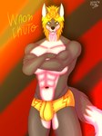 anthro blonde_hair boxers_(clothing) bulge clothing fur hair male multicolored_body multicolored_fur pecs solo underwear intaneloid ikuto_waon canid canine canis mammal wolf absurd_res hi_res