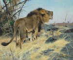 brown_body brown_fur day feral fur male male_feral mane open_mouth outside quadruped realistic solo tail whiskers friedrich_wilhelm_kuhnert public_domain felid lion mammal pantherine absurd_res ancient_art hi_res oil_painting_(artwork) signature traditional_media_(artwork)