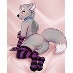 1:1 anthro arm_warmers armwear backsack balls butt canid canine canis captain_(folfad) clothed clothing collar femboy fluffy fluffy_tail fox genitals half-closed_eyes hi_res legwear looking_at_viewer looking_back male mammal mostly_nude narrowed_eyes no_underwear seductive simple_background solo stockings tail tiger_blueberry wolf