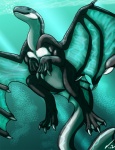 2012 ambiguous_gender anthro cetacean cool_colors dolphin dragon drift_tide hybrid isil mammal marine membrane_(anatomy) membranous_wings mythological_creature mythological_scalie mythology oceanic_dolphin orca scalie sea solo tail teal_theme toothed_whale underwater water wings