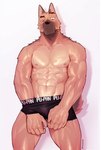 abs anthro clothed clothing hand_in_underwear male mostly_nude muscular muscular_anthro muscular_male nipples pecs solo underwear underwear_only vein veiny_muscles nomifuki canid canine canis domestic_dog mammal hi_res