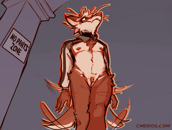 andromorph anthro big_clitoris biped blush bottomless bottomless_andromorph bottomless_anthro bottomless_intersex brown_body brown_fur clitoris clothed clothing fur genitals ineffective_clothing intersex mastectomy_scar multicolored_body multicolored_fur nipples scar shirt_collar sign solo tail tail_motion tailwag text two_tone_body two_tone_fur visibly_trans white_body white_fur lawyerdog ferar_(lawyerdog) domestic_ferret mammal mustelid musteline true_musteline weasel 2026 digital_media_(artwork) english_text url trans_(lore) trans_man_(lore)
