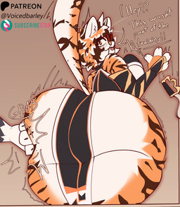 anthro biped breasts butt dialogue duo female grey_body looking_at_viewer male multicolored_body multicolored_tail open_mouth orange_body orange_tail simple_background stripes tail white_body white_tail voicedbarley arknights hypergryph studio_montagne waaifu_(arknights) felid mammal pantherine tiger