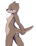 anthro blue_eyes breasts brown_body brown_fur butt female fur hi_res lighter_belly looking_at_viewer looking_back mammal mustelid nipples otter presenting presenting_hindquarters raised_tail sluggle solo tail