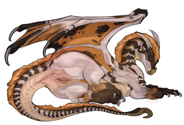 animal_genitalia animal_vulva anus claws ear_piercing female female_feral feral genitals hair horn looking_at_viewer looking_back looking_back_at_viewer lying membrane_(anatomy) membranous_wings multicolored_body nude piercing short_hair simple_background snout solo tail vulva white_background wings skific mythology wings_of_fire dragon mythological_creature mythological_scalie sandwing_(wof) scalie winged_dragon colored digital_drawing_(artwork) digital_media_(artwork) hi_res shaded