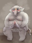 anthro balls belly big_penis blush erection erection_under_towel genitals male moobs nipples overweight overweight_male penis proboscis_(anatomy) sauna solo towel towel_lift trunk trunk_(anatomy) tusks shinoda_hamazaki tamacolle hizen_(tamacolle) elephant elephantid mammal proboscidean 3:4 hi_res