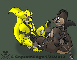 4_toes anthro bdsm bondage bound bound_together cobondage cuff_(restraint) duo feet foot_fetish foot_play footsie harness male nude paws restraints rope shackles spreader_bar straps tethered toes captainedge canid canine fox mammal 2017