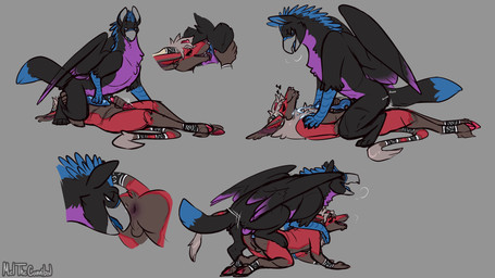 anal anal_penetration animal_genitalia animal_penis anthro anthro_on_feral anthro_penetrated anthro_penetrating anthro_penetrating_feral anus balls beak bestiality black_body black_feathers black_fur blue_body blue_eyes blue_feathers blue_fur blue_penis bodily_fluids breath butt canine_genitalia canine_penis close-up cloven_hooves cowgirl_position cum cum_on_chest cum_while_penetrated cutaway dipstick_tail duo ear_piercing ejaculation erection eyes_closed facial_piercing feathered_wings feathers feral feral_penetrated feral_penetrating feral_penetrating_anthro from_behind_position from_front_position fur gauged_ear genital_fluids genitals grey_background grey_body grey_fur heart_symbol hooves knot knotted_penis lying male male/male male_anthro male_feral male_penetrated male_penetrating male_penetrating_male markings masturbation mounting nose_piercing nose_ring nude nude_anthro nude_male on_back on_bottom on_top open_mouth open_smile oral panting penetration penile penile_penetration penis penis_in_ass piercing purple_body purple_feathers purple_fur raised_tail red_body red_fur red_penis rimming ring_piercing sex simple_background smile spread_butt spreading tail tail_markings tongue tongue_out versatile wings meldritchhorror mythology asmodeus_(character) rein_(amaterasu1) avian canid canid_demon canine demon gryphon hellhound mammal mythological_avian mythological_canine mythological_creature 16:9 2020 4k absurd_res hi_res widescreen nonbinary_(lore)