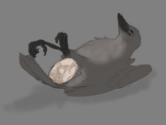 beak big_egg bodily_fluids claws cloaca_juice egg feathers female feral genital_fluids grey_body grey_feathers oviposition solo wings einin avian bird kiwi_(bird) ratite 4:3 sketch
