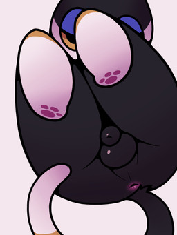 anthro anus balls flaccid foreskin genitals looking_at_viewer male paws penis raised_leg small_penis solo nulldjqtdma animal_crossing nintendo punchy_(animal_crossing) domestic_cat felid feline felis mammal 3:4 absurd_res hi_res