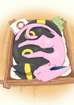 3_toes ambiguous/ambiguous ambiguous_feral ambiguous_gender bird's-eye_view black_body black_ears black_fur black_tail duo ear_markings eyes_closed feet feral feral_on_feral forehead_gem forked_tail fur gem high-angle_view hug kemono leg_markings lying markings monotone_body monotone_fur monotone_tail multicolored_body multicolored_fur on_side pet_bed pillow pink_body pink_ears pink_fur pink_tail plushie quadruped ring_(marking) sleeping sleeping_together tail tail_markings toes two_tone_body two_tone_fur two_tone_tail unusual_anatomy unusual_tail yellow_body yellow_ears yellow_fur yellow_markings yellow_tail nacl_chicken nintendo pokemon substitute_doll eeveelution espeon felid feline generation_2_pokemon mammal pokemon_(species) umbreon 2024 absurd_res colored digital_media_(artwork) hi_res shaded simple_shading