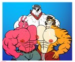 abs anthro bandage big_pecs blue_background bottomwear brown_hair brown_stripes bulge clothed clothing eye_patch eyewear fur glasses gradient_background group hair hand_on_hip looking_at_viewer male muscular muscular_anthro muscular_male nipples orange_body orange_fur pecs pecs_touching pinata pink_body pink_fur pink_nipples red_scarf scarf shorts simple_background smile stripes teeth topless trio tufted_fur white_body white_fur nathanlepoyo epic_games fortnite lt._john_llama polar_patroller animate_inanimate bear camelid felid living_pinata llama mammal pantherine polar_bear tiger ursine hi_res