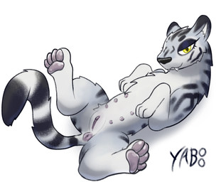 6_nipples anus bedroom_eyes clitoris fangs female feral fluffy fluffy_tail genitals lying multi_nipple narrowed_eyes nipples on_back pawpads presenting presenting_anus presenting_vulva seductive solo spread_legs spreading tail tail_anus teeth vulva yellow_eyes yaboo felid mammal pantherine tiger hi_res
