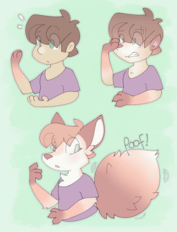 ambiguous_gender anthro brown_hair cheek_tuft claws clothing facial_tuft fluffy fluffy_tail green_eyes hair onomatopoeia poof_effect snout solo sound_effects tail text transformation transformation_sequence tuft puppychowed canid canine fox human mammal hi_res sequence