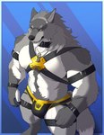 5_fingers abs anthro arm_strap blue_background body_hair border bulge cheek_tuft claws clothing collar countershade_arms countershade_legs countershade_torso countershading facial_tuft fingers fur grey_body grey_claws grey_fur happy_trail harness jewelry jockstrap leg_markings leg_strap male markings multicolored_body multicolored_fur muscular muscular_anthro muscular_male navel neck_tuft necklace pattern_background pecs simple_background socks_(marking) solo straps striped_background tail teeth tuft underwear white_body white_border white_countershading white_fur wrist_strap fullbodywolf canid canine canis mammal wolf 2024 hi_res