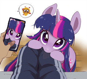 behaving_like_a_dog bodily_fluids camera cellphone electronics emoji female feral first_person_view floor heart_symbol horn phone photo saliva smartphone solo wood wood_floor potetecyu_to friendship_is_magic hasbro my_little_pony mythology twilight_sparkle_(mlp) equid equine human mammal mythological_creature mythological_equine unicorn hi_res