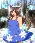 anthro black_nose blue_clothing blue_dress blush breasts brown_hair chest_tuft clothed clothing cute_fangs dress fangs female forest fully_clothed fur hair inner_ear_fluff open_mouth outside photo_background plant red_eyes snow solo tan_body tan_fur teeth text tree tuft ymbk wolf_children yuki_(wolf_children) canid canine canis mammal wolf 2012 japanese_text photography_(artwork) translated