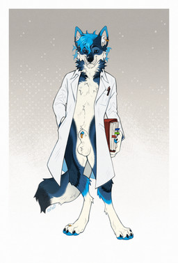 animal_genitalia anthro balls barefoot black_body black_fur blue_body blue_fur blue_hair book border claws clothing coat digit_ring digitigrade doctor ear_piercing ear_ring feet fully_sheathed fur furgonomic_piercing furgonomics genital_piercing genitals gradient_background grey_background hair hand_in_pocket holding_book holding_object jewelry lab_coat lab_coat_only male male_anthro multicolored_body multicolored_fur pawpads paws piercing pockets ring ring_piercing sheath sheath_piercing simple_background solo standing tan_body tan_fur toe_claws toe_ring toes topwear white_background white_border ershd canid canine canis mammal wolf hi_res