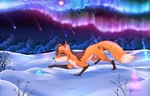 all_fours ambiguous_gender aurora_(phenomenon) blue_eyes countershading feral fur mountain orange_body orange_fur shooting_star side_view snow solo rukifox yumi_(yatofox) canid canine fox mammal 14:9 hi_res