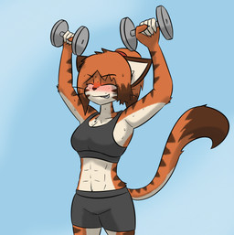 abs accessory anthro big_breasts blush bodily_fluids bottomwear bra breasts clothed clothing countershading dumbbell exercise female fingerless_(marking) fingerless_gloves_(marking) fur gloves_(marking) hair_accessory hairband markings midriff muscular muscular_anthro navel orange_body orange_fur shorts simple_background solo sports_bra sportswear striped_body striped_fur stripes sweat topwear underwear weightlifting weights white_body white_fur workout notmypornaccount martha_(notmypornaccount) felid mammal pantherine tiger absurd_res digital_media_(artwork) hi_res