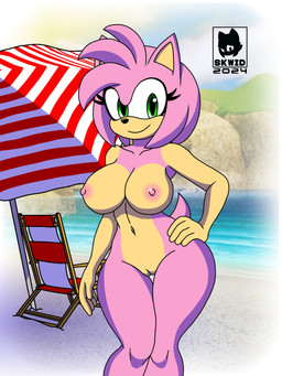 anthro areola beach beach_chair beach_umbrella breasts casual_nudity clothing female fur genitals gloves green_eyes hair handwear looking_at_viewer nipples nude outdoor_nudity outside parasol pink_body sand seaside sky smile solo standing tail vulva water skwid sega sonic_the_hedgehog_(series) amy_rose eulipotyphlan hedgehog mammal 3:4 digital_media_(artwork) hi_res