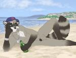 balls beach black_penis blue_eyes dog_tags hat male necklace nude penis raccoon sabretoothed_ermine seaside solo
Rating: Explicit
Score: 8
User: Hardstyle_Chris
Date: February 11, 2014