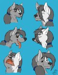 anthro black_nose blue_hairband breath fur grey_body grey_fur grey_hair hair happy heterochromia male multicolored_body multicolored_fur panting ponytail sad smile solo tongue tongue_out two_tone_body two_tone_fur white_body white_fur juano ziude_(character) canid canine canis mammal wolf 2009 digital_media_(artwork) expression_sheet signature