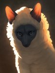 ambiguous_gender black_body black_eyes black_nose copyright_symbol feathers feral solo symbol text white_body white_feathers chiakiro canid canine fox hybrid mammal 2022 artist_name digital_media_(artwork) digital_painting_(artwork) url