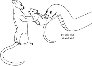 age_difference animal_genitalia balls feet_first feral feral_pred feral_prey forced fur genitals group holding_another larger_pred looking_back male male/male male_pred male_prey nude_prey older_pred oral_vore partially_inside rat_tail sheath simple_background sitting size_difference smile tail trio unwilling_prey vore white_background willing_pred young young_feral young_male young_prey urbanhermit mammal murid murine rat reptile rodent scalie snake 1990 black_and_white low_res monochrome