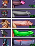 animal_genitalia animal_penis anthro chart equine_genitalia equine_penis erection foreskin genitals group humanoid_genitalia humanoid_penis male medial_ring penis penis_chart penis_size_difference young young_anthro theslimedragon mythology penis_lineup ailurid bovid bovine canid canine canis cattle dragon equid equine horse mammal mythological_creature mythological_scalie red_panda scalie wolf headshot_portrait hi_res portrait