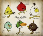 ambiguous_gender beak binomial_nomenclature blue_eyes brown_eyes diagram feral green_eyes grey_eyes group nomenclature_humor text shane_parker angry_birds rovio_entertainment sega bomb_(angry_birds) chuck_(angry_birds) hal_(angry_birds) matilda_(angry_birds) red_(angry_birds) the_blues_(angry_birds) avian bird toucan english_text hard_translated latin_text translated