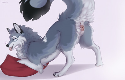 anatomically_correct anatomically_correct_anus anatomically_correct_genitalia anatomically_correct_vulva animal_genitalia animal_vulva anus ass_up bedroom_eyes black_nose blep blue_eyes butt canine_genitalia canine_vulva claws eyebrows eyelashes female feral fluffy fluffy_tail fur genitals grey_body grey_fur heart_symbol looking_at_viewer monotone_genitals narrowed_eyes open_mouth pillow pink_anus pink_vulva presenting presenting_anus presenting_hindquarters presenting_vulva raised_tail red_pillow seductive simple_background smile solo tail teeth text tongue tongue_out vulva white_background white_body white_fur taka_(artist) a.o.kigahara canid canine canis mammal wolf 14:9 2023 artist_name colored dated digital_drawing_(artwork) digital_media_(artwork) digital_painting_(artwork) english_text hi_res painting_(artwork) shaded signature sketch