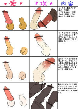 animal_genitalia animal_penis balls canine_genitalia canine_penis censor_bar chart disembodied_penis equine_genitalia equine_penis erection flaccid foreskin genitals group humanoid_genitalia humanoid_penis ineffective_censorship knot male male/male partially_retracted_foreskin penis penis_sheet retracted_foreskin sheath tapering_penis text vein veiny_penis zero_pictured manmosu_marimo 2016 censored digital_media_(artwork) flat_colors japanese_text translated