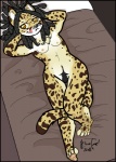 anthro bed biped body_hair breasts chest_tuft dreadlocks felid feline female fur furniture hair happy_trail it's_a_trap! long_hair looking_at_viewer lying mammal nipples on_back on_bed orange_eyes serval small_breasts solo spots tail tuft wide_hips