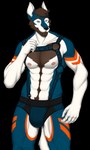 abs anthro beard blue_body blue_fur brown_beard brown_facial_hair brown_hair bulge clothed clothing collarbone countershading facial_hair fur hair harness looking_at_viewer love_handles male multicolored_body muscular muscular_male nipples orange_body orange_fur pink_nipples pointy_ears prick_ears simple_background skimpy solo tail thick_thighs transparent_background white_body white_fur phrostbite rasker canid canine canis mammal wolf absurd_res alpha_channel hi_res signature watermark