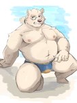 anthro beach belly bulge cigarette clothing crouching eyebrows eyewear fur glasses grin male musclegut muscular pecs seaside smile smoking solo speedo swimwear thick_eyebrows white_body white_fur kannepaz lifewonders tokyo_afterschool_summoners leib_(tas) bear mammal polar_bear ursine 3:4 absurd_res hi_res