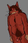 anthro arm_hair balls belly body_hair brown_hair chest_hair eyelashes fangs fur genitals hair half-erect happy_trail humanoid_genitalia humanoid_penis long_hair male muscular muscular_anthro muscular_male nipples nude nude_male organs overweight overweight_male pecs penis plantigrade pubes red_body red_fur slightly_chubby smile solo standing stomach stomach_hair teeth yellow_eyes chemicalcreature canid canine canis domestic_dog mammal 2024 digital_drawing_(artwork) digital_media_(artwork) hi_res signature