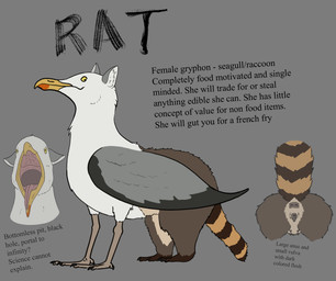 animal_genitalia animal_vulva anus beak female feral genitals mouth_shot open_mouth solo standing text tongue vulva tiny_terrible mythology avian bird gryphon gull lari larid mammal mythological_avian mythological_creature procyonid raccoon english_text hi_res