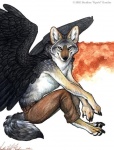 abstract_background anthro biped black_pawpads black_wings clothed clothing feathered_wings feathers looking_at_viewer male pawpads paws simple_background sitting solo spread_wings tail topless wings yellow_eyes kyoht_luterman canid canine canis coyote mammal werecanid werecanine werecoyote werecreature 2002