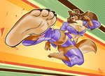 4_fingers 4_toes action_pose anthro barefoot big_breasts breasts brown_body brown_fur brown_hair chest_tuft claws cleavage clothed clothing countershade_feet countershading feet female fingers flying_kick foot_focus foreshortening fur hair humanoid_feet humanoid_hands kick long_hair midair midriff multicolored_body multicolored_fur navel nipple_outline open_mouth open_smile paws plantigrade pose purple_clothing smile soles solo tan_body tan_fur tan_soles toe_claws toes tuft two_tone_body two_tone_fur rayjay callie_barker border_collie canid canine canis collie domestic_dog herding_dog mammal pastoral_dog sheepdog 2020