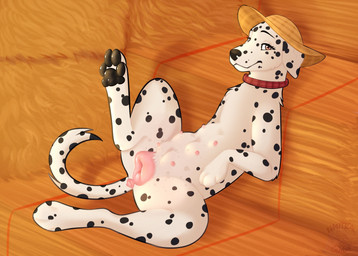 animal_genitalia animal_vulva anus black_spots canine_genitalia canine_nipples canine_vulva clothing collar female female_feral feral fur genitals hat headgear headwear lying nipples on_back plaid plump_labia solo spots spread_legs spreading straw_hat tail_anus three-quarter_view vulva white_body white_fur nauticalcanine canid canine canis dalmatian domestic_dog mammal absurd_res hi_res