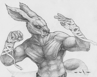 5_fingers anthro athletic athletic_anthro athletic_male clothed clothing fighting_pose fingers grey_background hand_wraps looking_aside male mouth_closed narrowed_eyes nipples pose simple_background solo tail topless wraps deriaz kangaroo macropod mammal marsupial 2013 5:4 graphite_(artwork) greyscale monochrome traditional_media_(artwork)