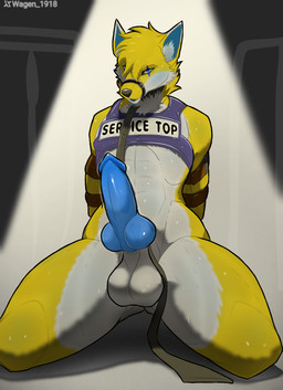 animal_genitalia animal_penis anthro arms_tied balls big_balls big_penis blue_eyes blue_genitals bound collar genitals harness harness_only huge_penis kneeling knot leaning leaning_backward leash lights looking_at_viewer male male_anthro nude_anthro nude_male penis service_top service_top_harness simple_background solo tied_muzzle yellow_body johnn_lima renomon_allen canid canine fox mammal hi_res