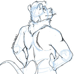 anthro back_muscles grass_in_mouth hands_on_hips looking_up male neck_tuft nude round_ears simple_background solo standing tail tuft whisker_spots white_background p_rindustries beaver mammal rodent 1:1 hi_res