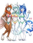 2022 4_toes anthro arm_tuft artica_sparkle barefoot barely_visible_pawpads bat bikini black_claws black_nose black_pawpads blue_body blue_eyes blue_fur blue_hair blue_pawpads breasts brown_body brown_fur canid canine canis chest_tuft claws clothed clothing collar countershade_face countershade_legs countershade_thighs countershade_torso countershading ear_piercing ear_ring eyebrows eyelashes facial_piercing feet female finger_claws fur furgonomics furry-specific_piercing gesture gloves_(marking) green_eyes group hair hand_on_hip hand_pawpads herm_(lore) hi_res inner_ear_fluff kacey leg_markings looking_at_viewer mammal markings membrane_(anatomy) membranous_wings midriff multicolored_body multicolored_fur muzzle_piercing navel nose_piercing on_one_leg one-piece_swimsuit open_mouth pawpads paws piercing ring_piercing shoulder_tuft simple_background sling_bikini smile socks_(marking) standing swimwear tail tala_(suntattoowolf) teal_eyes teeth toe_claws toes tongue tongue_out traditional_media_(artwork) trio tuft two-piece_swimsuit two_tone_body two_tone_fur waving waving_at_viewer white_background white_body white_claws white_fur winged_arms wings wolf