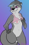 anen_(anentheotter) anentheotter anthro bottomless bottomless_female bra bra_lift breasts clothed clothing female flashing flashing_breasts fur genitals grey_body grey_fur hand_on_hip mammal mustelid nipples otter partially_clothed pink_bra pink_clothing pink_underwear purple_eyes pussy smug solo underwear